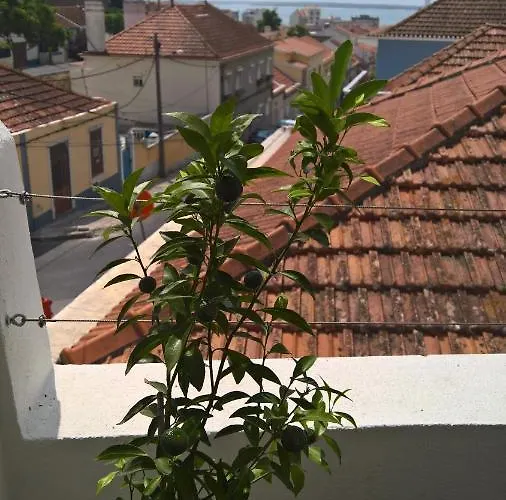 Сasa de vacaciones Casa Do Viso Setúbal